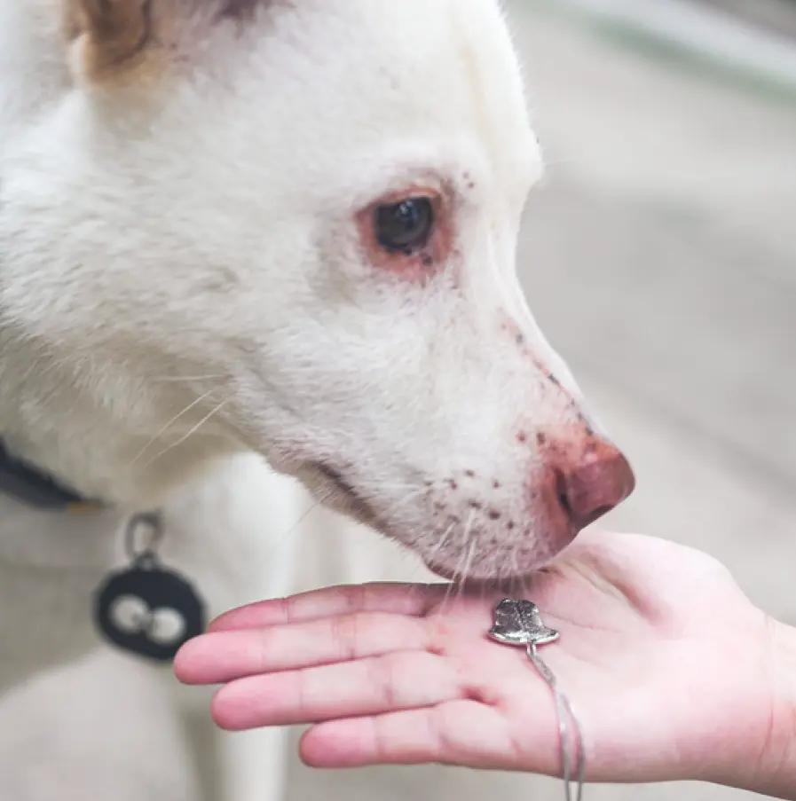 紋印系列｜鼻紋吊墜 
