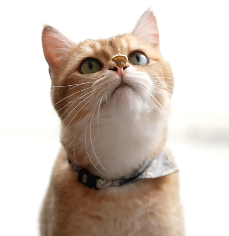 紋印系列｜鼻紋吊墜