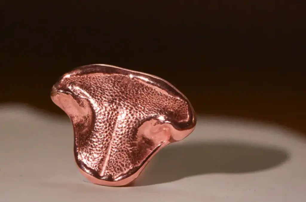 紋印系列｜寵物紋印耳環