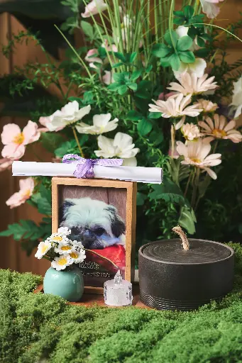 小天使紀念品｜小天使相架紀念盅